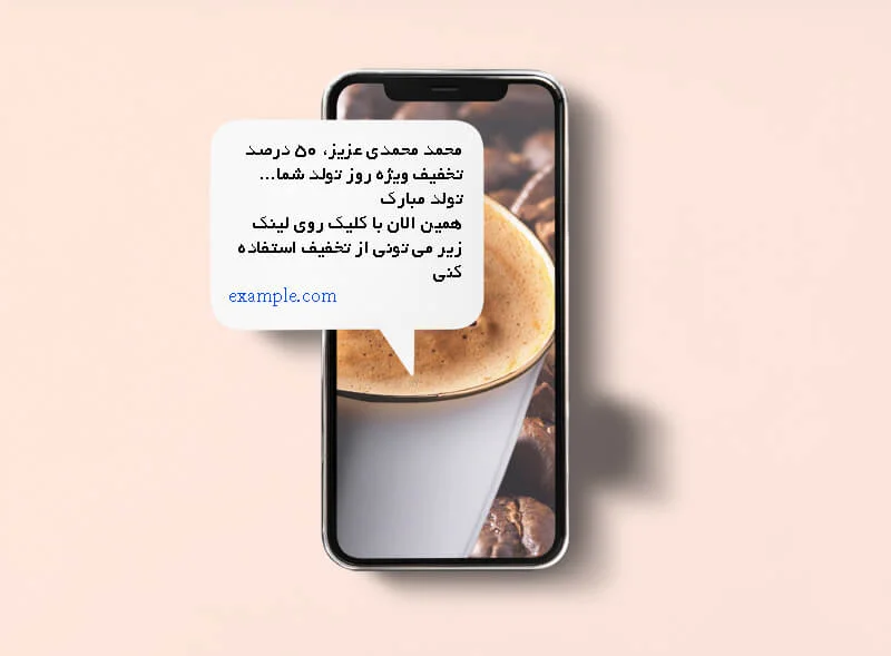 با طراحی صفحه فرود پیامکی، پیشنهادات اختصاصی برای مشتریان ارسال کنید